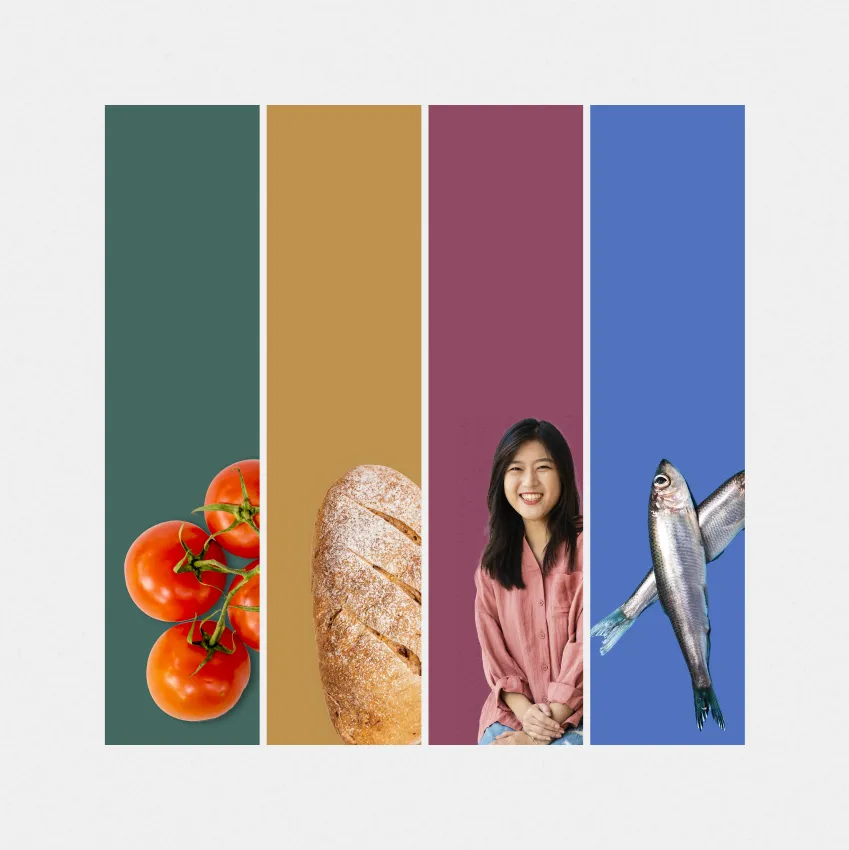 Four brand color bars