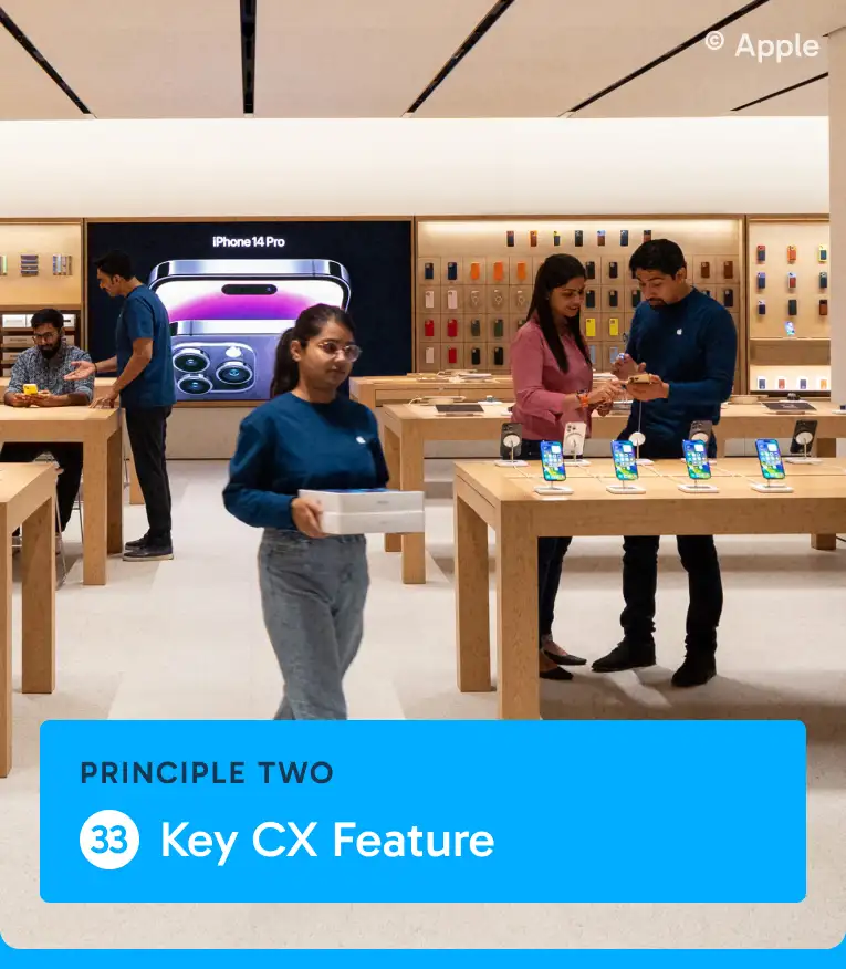 Principle 2 > Key CX Feature #33