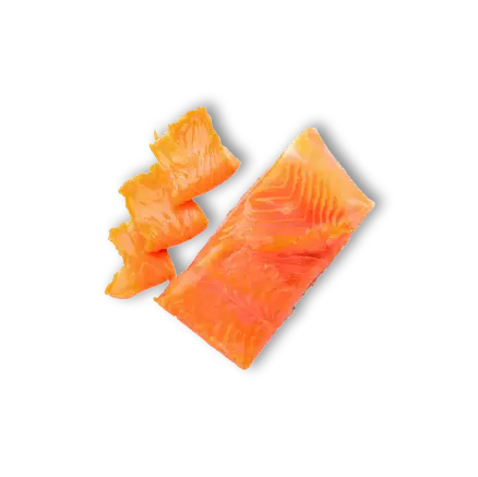 Salmon