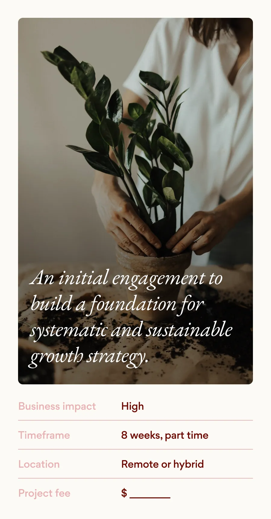 An initial engagement to build a foundation for systematic and sustainable growth strategy.